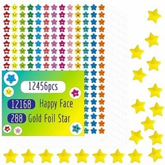 12456 Pcs Star Stickers, More Than 12100 Happy Face & 288 Star Happy Face – A