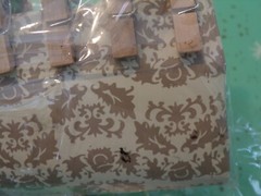 Scrapbooking Wood Mini Clothespins Photo String 30 Pins Leaves Snowflakes Clips