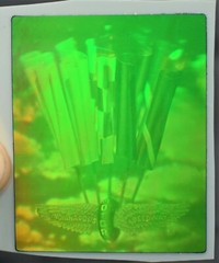 VTG Polaroid 3-D 90’s Holograms Prototypes – Indianapolis 500 Speedway 1.75 x 2″