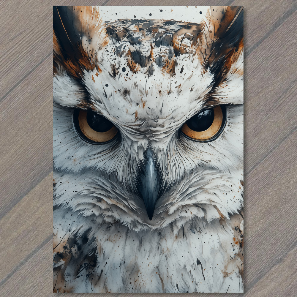 STICKER Fierce Owl Face Golden Eyes Fluffy Feathers Nature Predator Look