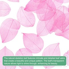 100-Pack Skeleton Leaves, Natural Rubber Tree Leaves Vein[4-6cm, Light Pink]