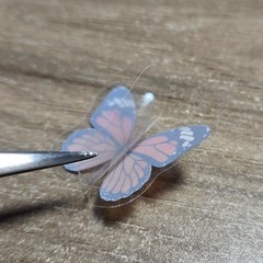 Butterfly and Flower Moon Transparent Stickers Set of 10 Random Stickers