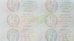 SANDYLION HAPPY BIRTHDAY STICKERS VINTAGE COLLECTABLE RARE PARTY CAKE BALLOONS.