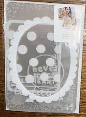 American Crafts Project Life Becky Higgins Confetti Photo Overlays Clear W/Words