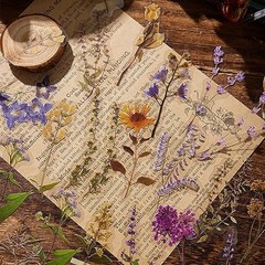 380 Pcs Sticker Set Dried Flowers Themed Resin Journaling Pressed Flower