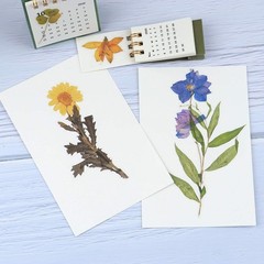 Assorted 160 Floral Stickers – Pre-Cut for Easy Decorating in Scrapbooks & More