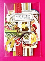Anna Griffin Beaux Regards 12 PCS Collage Toppers + MORE ~ Over the Hill/Funny!