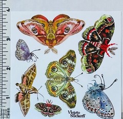 Violette Stickers Colorful Night Moths Insects Crafts Planner Supply Scrapbook