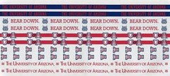 University of Arizona Wildcats NCAA Border Scrapbook Stickers 12″
