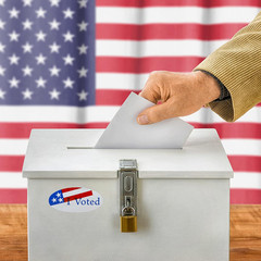 I Voted with Red, White, and Blue Stickers Oval 1×2 Inch Round 500 Labels Per Ro