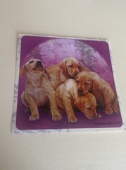 Medibadge Adorable Dogs Sticker Mod 2.5” Inches