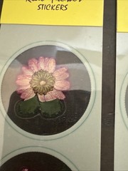 Lot Of 12 REAL Pressed Flowers Stickers Vintage Victorias Garden Scrapbook-36
