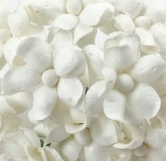 WHITE 1″(2.5cm) Cottage Paper Flower Wedding Card Scrapbook Cardmaking S15-15