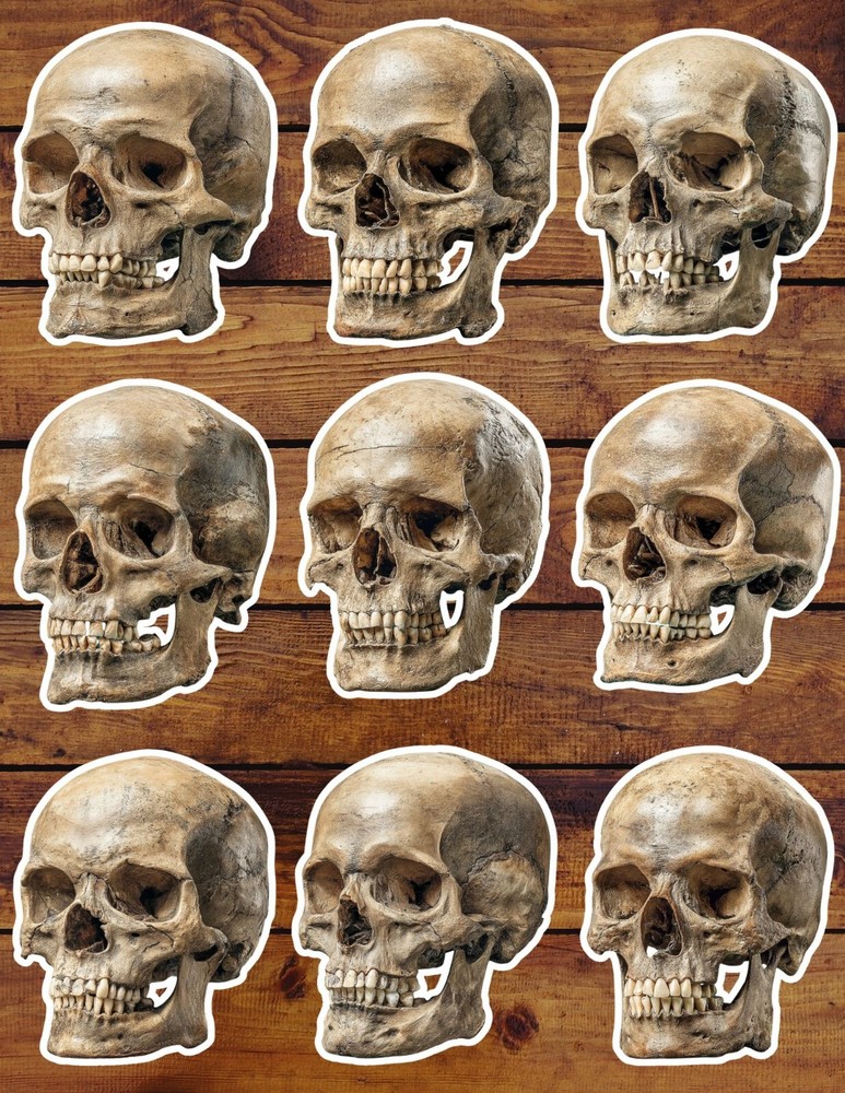 Skull Die Cut Vinyl Stickers Set Scrapbooking Laptop Water Bottle