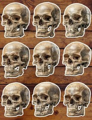 Skull Die Cut Vinyl Stickers Set Scrapbooking Laptop Water Bottle
