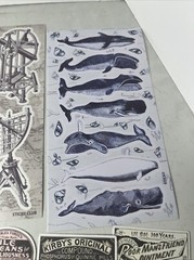 Stickii Club Sticker Lot