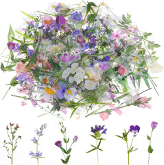 120 Pcs Transparent Flower Stickers for Scrapbooking PET Nature Plant Floral
