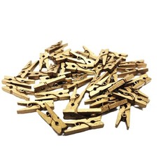 Mini Pegs Natural Wooden Craft Cloth Photo Wood Hanging Small Spring Clips 25mm