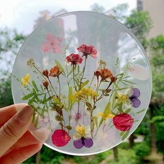 8 Types Real Dried Pressed Rose Flowers Plant Herbarium for Craft Mini