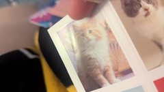 Vintage American Greetings Stickers Cats Kittens 1 Sheet READ