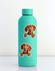 Peeking Vizsla Dog Die Cut Vinyl Stickers Set Scrapbooking Laptop Water Bottle