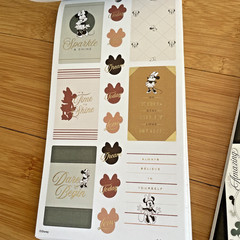 The Happy Planner – Disney – Mickey and Minnie Mouse Calendar Stickers