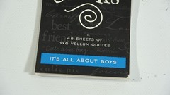 DCWV Vellum Scrapbooking Paper Pad It’s All About Boys 48 Sheets