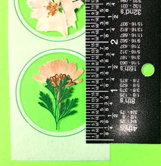Pressed Petals Real Flowers Sticker Pack Lot Of 7