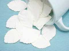 LEAVES CREAM LARGE x 40 Pack Paper – 48mm Long x 28mm Wide Manor House