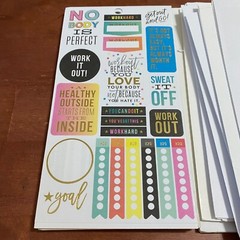 The Happy Planner Loose Partial Sticker Pages 120 Count