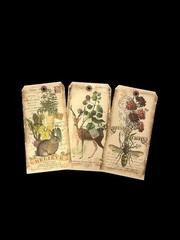 In The Land of Elsewhere Tags Mixed Lot Junk Journaling Crafting Gifts 8”x4”