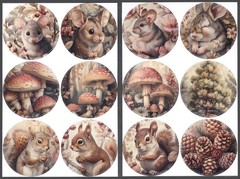 Stickers – Mouse Squirrel – Any Occasion CL186