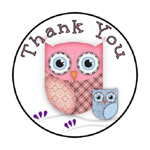 48 Thank You Owl Pink&Blue!! ENVELOPE SEALS LABELS STICKERS 1.2″ ROUND