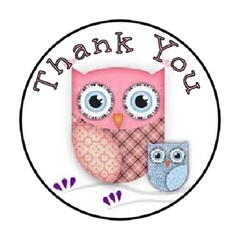 48 Thank You Owl Pink&Blue!! ENVELOPE SEALS LABELS STICKERS 1.2″ ROUND