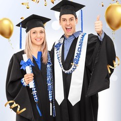 18 Pcs Graduation Leis and Stole and Honor Cords 2026 Braided Necklace Adjust…