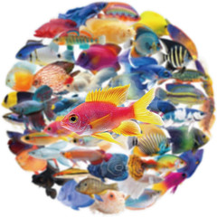 50PCS Clear Tropical Marine Life Ocean Stickers PET Fish Aesthetic Sticker for J