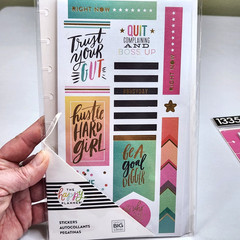 The Happy Planner Stickers x2 Sets Motivation Embellish Calendar Total 2,101 Pc
