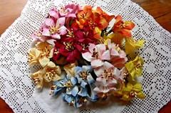 LILLY 7 Colour Mix 6 ea colour