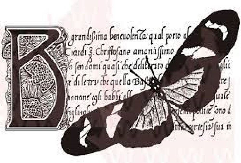Woodware Craft Clear Stamp BUTTERFLY BOTANICAL Scrapbooking