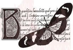 Woodware Craft Clear Stamp BUTTERFLY BOTANICAL Scrapbooking