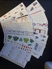 The Happy Planner Stickers Pages Sticker 80 Sheets Pages Multiple Themes Lot #8