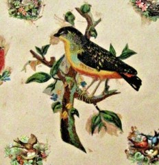 Lovely 1800-1900’s 2-Sided Die Cut Album Page w/ Butterflies, Children & Birds *