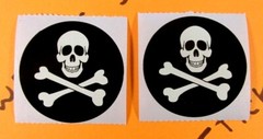 Skull & Crossbones Stickers Set Of 8