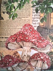 50 Pgs Detailed Beautiful Floral Sticker Book & Eph Paper 22pgs & 375 Stickers