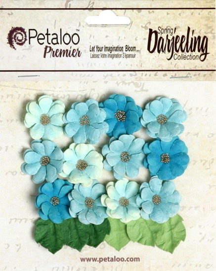 Mini Daisies TEAL AQUA BLUE 12 Flowers 2cm+6 Leaves 15x22mm PAPER Darjeeling H