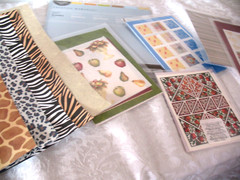 Lot Wild Side Photo Mounting Paper, Rainbow strips, Bountiful Designer 8×8 paper
