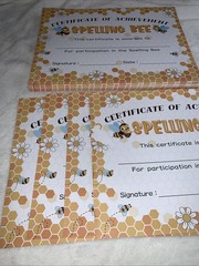 100 Pcs Spelling Bee Achievement Award Certificates 11×8” Recognition 4 Ripped
