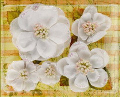 Magnolia Flowers WHITE Fabric – 5 Mixed Sizes 33-75mm Across Botanica Pet L4b