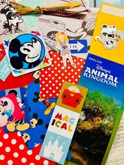 Mickey Mouse Themed Ephemera