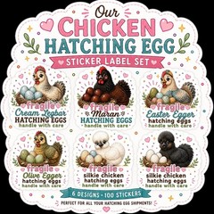 Rare Chicken Hatching Egg Shipping Labels Stickers 100